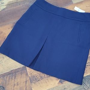 Ann Taylor Loft Skirt, Size 10, NWT
